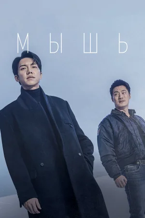 Мышь в hd качестве