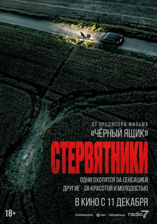 Стервятники в hd качестве