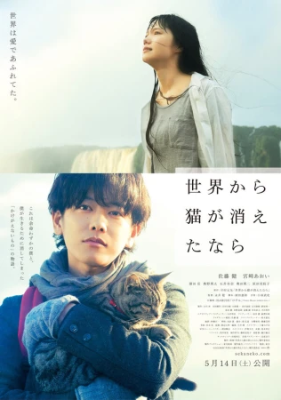 Если кошки исчезнут во всём мире в hd качестве