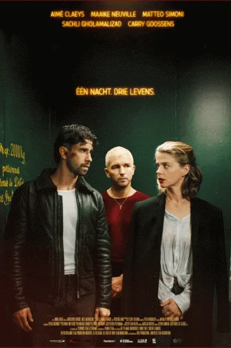 Мотыльки в hd качестве