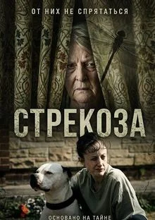 Стрекоза в hd качестве