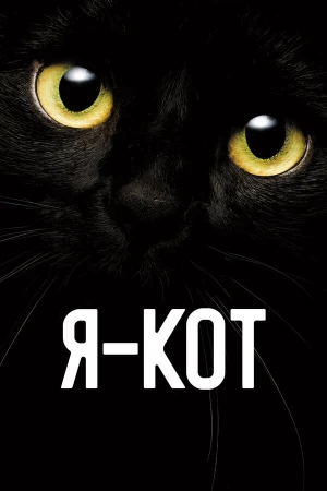 Я — кот в hd качестве