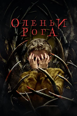 Оленьи рога в hd качестве