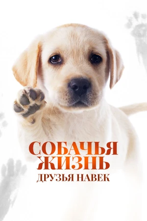 Собачья жизнь: Друзья навек в hd качестве