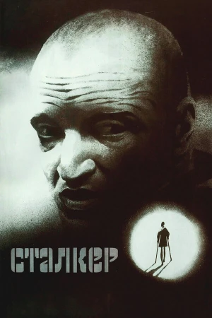 Сталкер в hd качестве