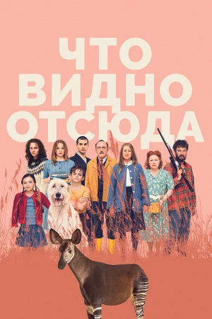 Что видно отсюда в hd качестве
