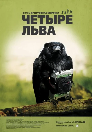 Четыре льва в hd качестве