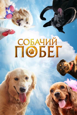 Собачий побег в hd качестве