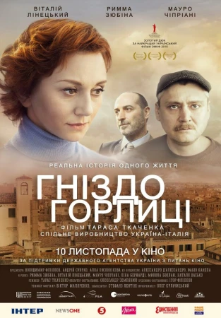 Гнездо горлицы в hd качестве