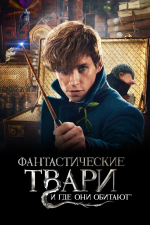 Фантастические твари и где они обитают в hd качестве