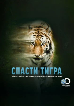 Спасти тигра в hd качестве