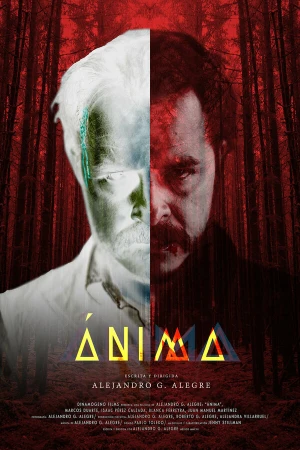 Душа в hd качестве