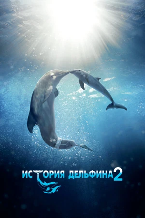 История дельфина 2 в hd качестве