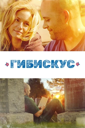 Гибискус в hd качестве