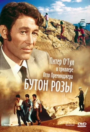 Бутон розы в hd качестве