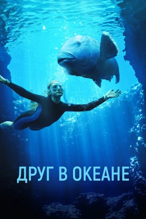 Друг в океане в hd качестве