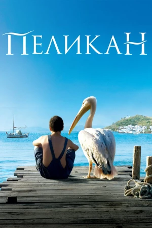 Пеликан в hd качестве