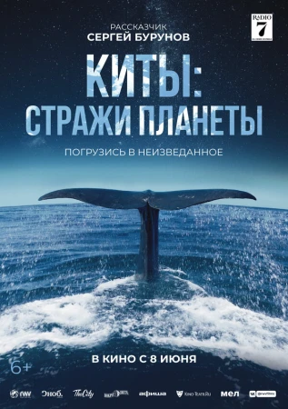 Киты: Стражи планеты в hd качестве