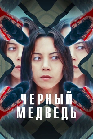 Чёрный медведь в hd качестве