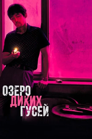 Озеро диких гусей в hd качестве