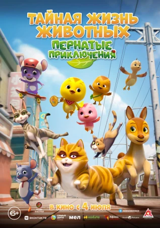 Тайная жизнь животных: Пернатые приключения в hd качестве