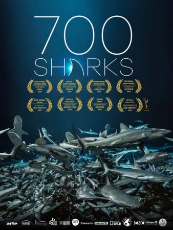 700 акул в hd качестве