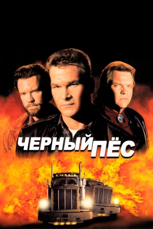 Черный пес в hd качестве