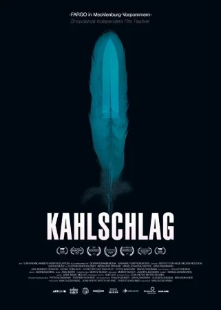 Вырубленный лес в hd качестве