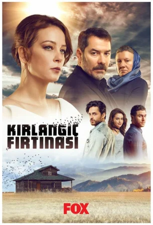 Шторм ласточки в hd качестве