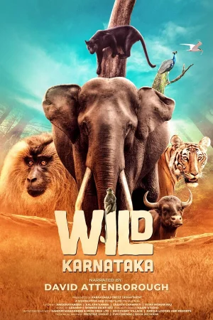 Дикая Карнатака в hd качестве