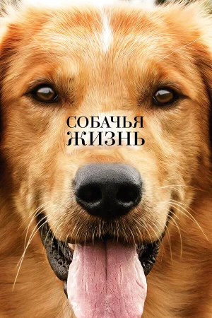 Собачья жизнь в hd качестве