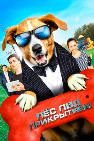 Пес под прикрытием в hd качестве