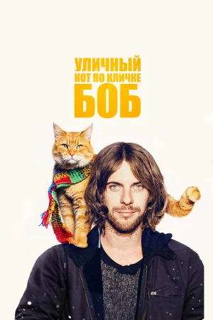 Уличный кот по кличке Боб в hd качестве